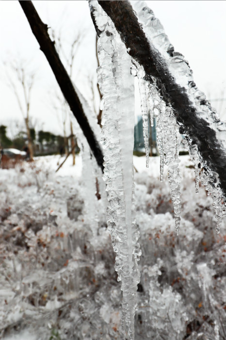 一場雪，體育中心美得不要不要的 但最美的風(fēng)景還是他們(圖4)