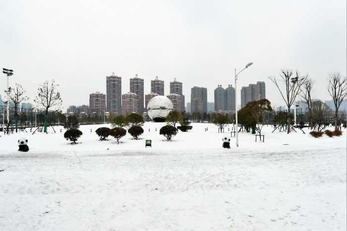 一場雪，體育中心美得不要不要的 但最美的風(fēng)景還是他們(圖2)