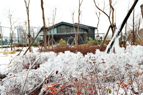 一場雪，體育中心美得不要不要的 但最美的風(fēng)景還是他們(圖3)