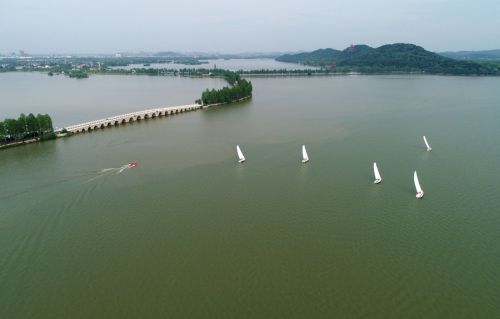 跳水世界杯圓滿(mǎn)落幕  中國(guó)隊(duì)包攬全部11金(圖15)